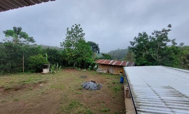 Vendo Finca Productiva en Patricia Pilar 27Ha