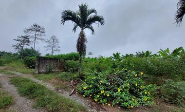 Vendo Finca Productiva en Patricia Pilar 27Ha