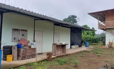 Vendo Finca Productiva en Patricia Pilar 27Ha
