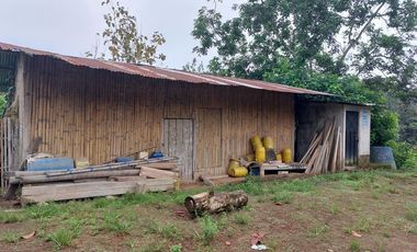 Vendo Finca Productiva en Patricia Pilar 27Ha