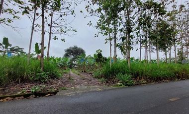 Vendo Finca Productiva en Patricia Pilar 27Ha