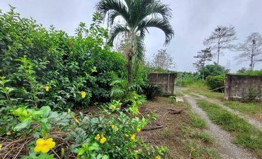 Vendo Finca Productiva en Patricia Pilar 27Ha
