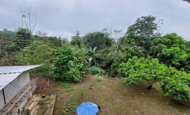 Vendo Finca Productiva en Patricia Pilar 27Ha