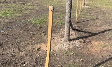 Terreno en venta - 400Mts2 - Necochea