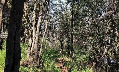 CASA CON LINDA VISTA EN SECTOR LAS ACHIRAS