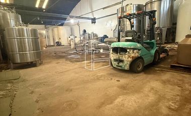 Venta -  Bodega y Chacra con Producción de Viña - R023