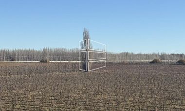 Venta -  Bodega y Chacra con Producción de Viña - R023