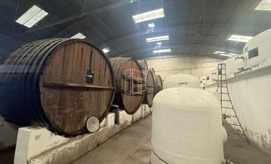 Venta -  Bodega y Chacra con Producción de Viña - R023