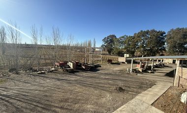 Venta -  Bodega y Chacra con Producción de Viña - R023