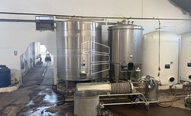 Venta -  Bodega y Chacra con Producción de Viña - R023
