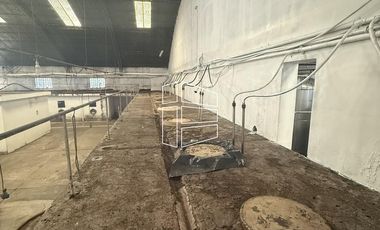 Venta -  Bodega y Chacra con Producción de Viña - R023