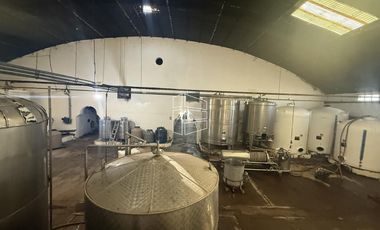 Venta -  Bodega y Chacra con Producción de Viña - R023
