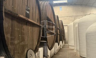 Venta -  Bodega y Chacra con Producción de Viña - R023