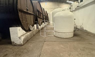 Venta -  Bodega y Chacra con Producción de Viña - R023