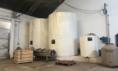 Venta -  Bodega y Chacra con Producción de Viña - R023