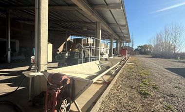 Venta -  Bodega y Chacra con Producción de Viña - R023