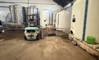 Venta -  Bodega y Chacra con Producción de Viña - R023