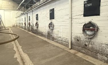 Venta -  Bodega y Chacra con Producción de Viña - R023