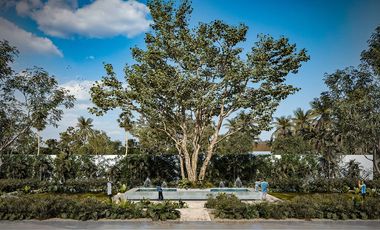 Terrenos en Preventa en Conkal | Desde 320 m² | Amenidades Premium | Desde $840