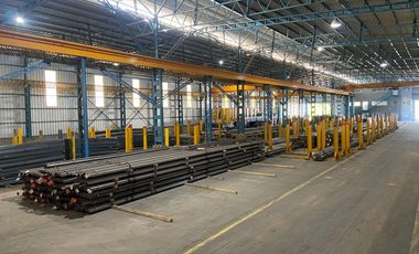 Alquiler Nave Industrial 4725 m2 - Puentes Grúa - Parque Alvear