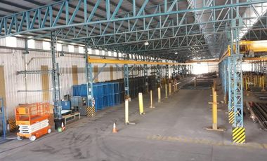 Alquiler Nave Industrial 4725 m2 - Puentes Grúa - Parque Alvear