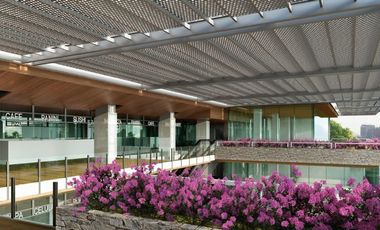 OFICINAS VENTA SEMILLERO PURÍSIMA PARA INVERSIONISTAS