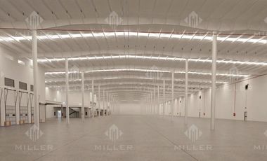 MTY SALINAS VICTORIA NTE. BTS  290,625 ft2 MILLER PARK MIDIR LR  020824