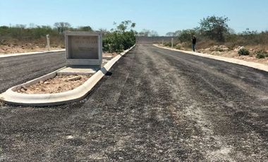 TERRENO EN VENTA EN EL PUEBLO MÁGICO DE MOTUL EN MÉRIDA YUCATÁN