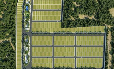 TERRENO EN VENTA EN EL PUEBLO MÁGICO DE MOTUL EN MÉRIDA YUCATÁN