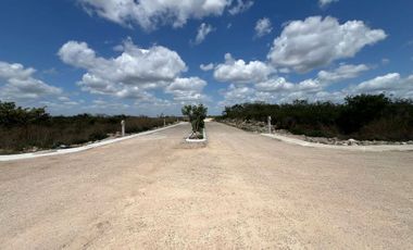 TERRENO EN VENTA EN EL PUEBLO MÁGICO DE MOTUL EN MÉRIDA YUCATÁN