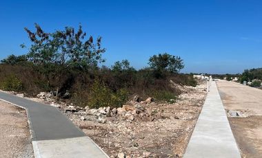 TERRENO EN VENTA EN EL PUEBLO MÁGICO DE MOTUL EN MÉRIDA YUCATÁN