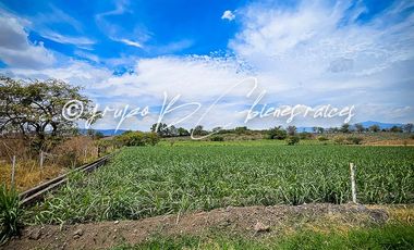 Terreno en venta Ameca con todos los servicios