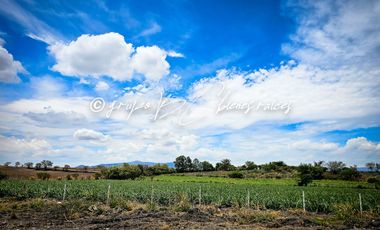 Terreno en venta Ameca con todos los servicios