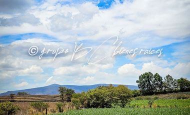 Terreno en venta Ameca con todos los servicios