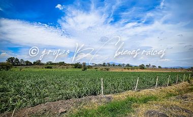 Terreno en venta Ameca con todos los servicios