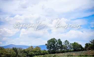 Terreno en venta Ameca con todos los servicios