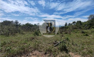 LOTE EN VENTA (PARQUE INDUSTRIAL LA VILLA) VA MORICHAL YOPAL