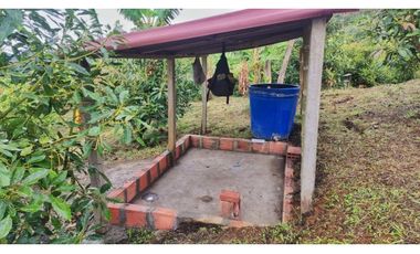 Maat vende finca vereda Raizal-Guaduas 37.500m2 $800Millones