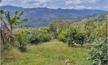 Maat vende finca vereda Raizal-Guaduas 37.500m2 $800Millones