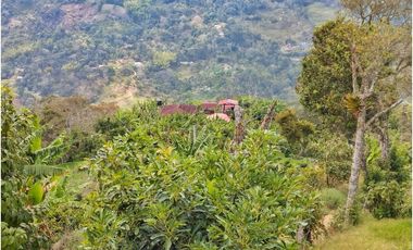 Maat vende finca vereda Raizal-Guaduas 37.500m2 $800Millones