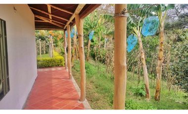 Maat vende finca vereda Raizal-Guaduas 37.500m2 $800Millones