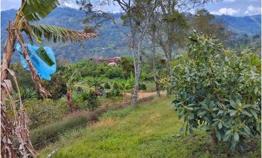 Maat vende finca vereda Raizal-Guaduas 37.500m2 $800Millones