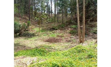 Venta de Terreno con 2 matriculas Ubicado en el Portento Retiro