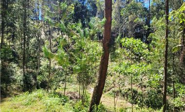 Venta de Terreno con 2 matriculas Ubicado en el Portento Retiro