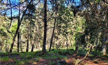 Venta de Terreno con 2 matriculas Ubicado en el Portento Retiro