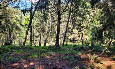 Venta de Terreno con 2 matriculas Ubicado en el Portento Retiro