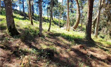 Venta de Terreno con 2 matriculas Ubicado en el Portento Retiro