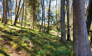 Venta de Terreno con 2 matriculas Ubicado en el Portento Retiro