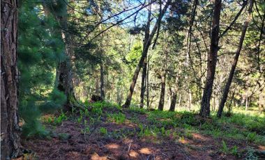 Venta de Terreno con 2 matriculas Ubicado en el Portento Retiro