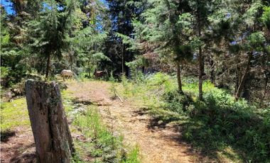 Venta de Terreno con 2 matriculas Ubicado en el Portento Retiro